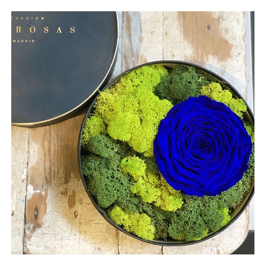 Cofre Tresor de Rosas Preservadas Azules