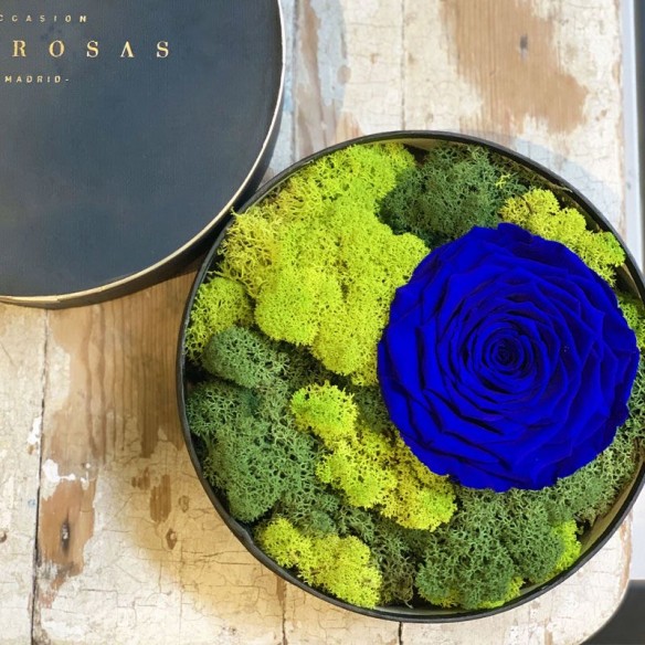 Cofre Tresor de Rosas Preservadas Azules