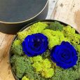 Cofre Tresor de Rosas Preservadas Azules
