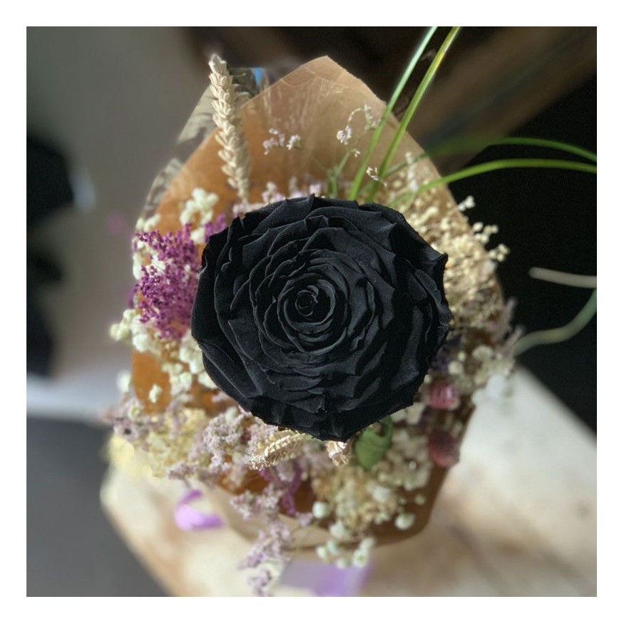 Rosa Individual Negro Puro XXL