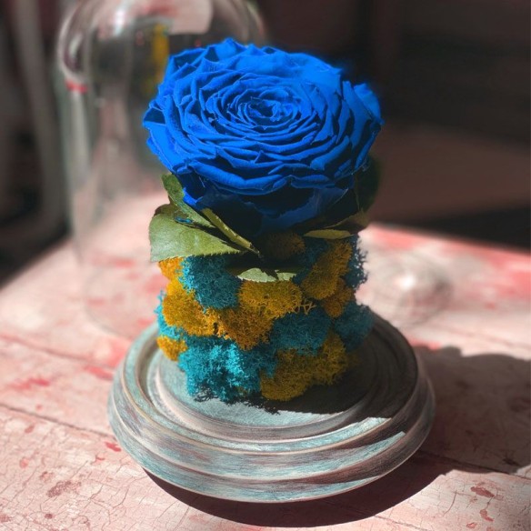 Joya Totem Rosa Azul