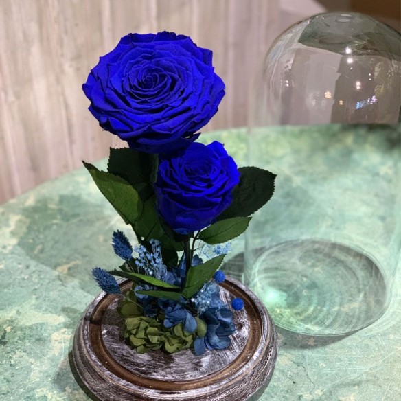 Rosa Joya Blue (Bella y Bestia)