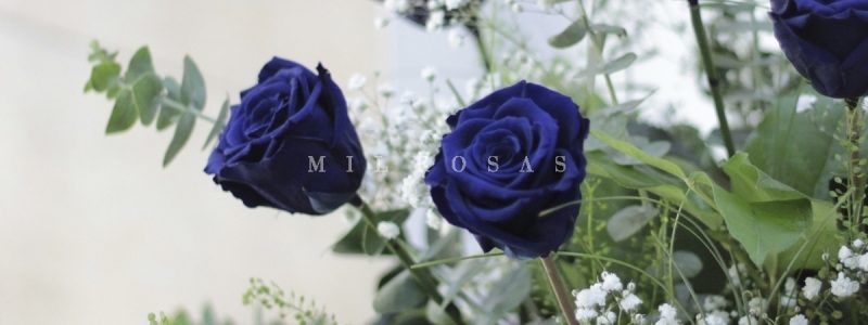 rosa eterna 1