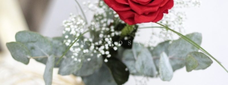 rosa-individual-rojo-pasion-xxl