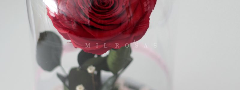 Joya_1XXL_Rojo_Valentn-ConvertImage